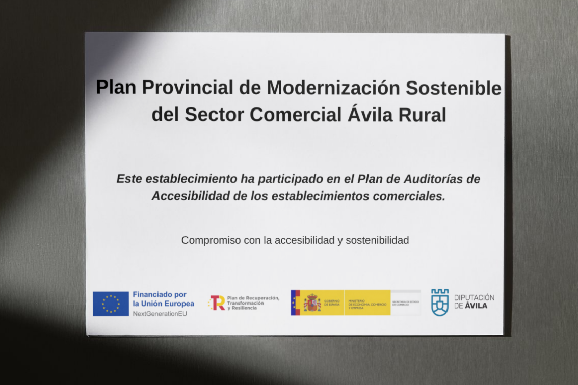 plan provincial de modernización sostenible del sector Comercial Ávila Rural